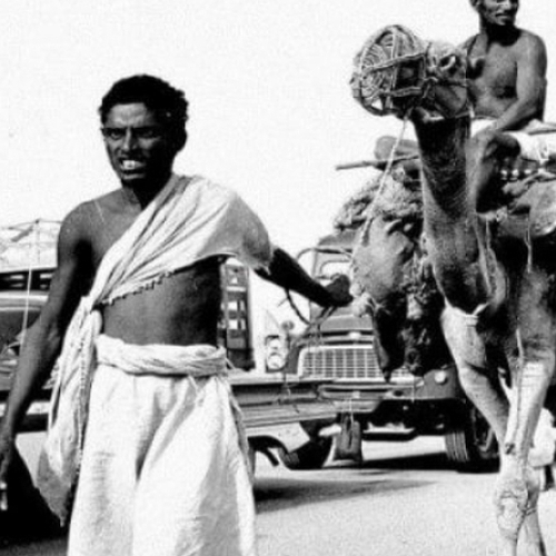 وثائقي يستعرض طرق انتقال الحجاج إلى مكة من الركائب للسيارات