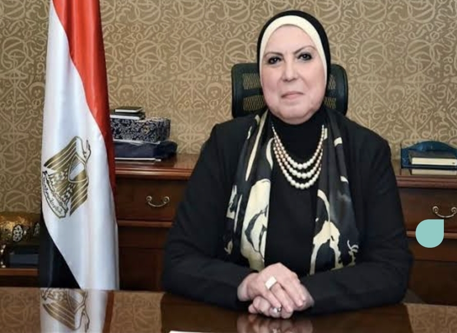 نفين جامع تصدر قرارا باشتراطات الإفراج عن السيارات الكهربائية