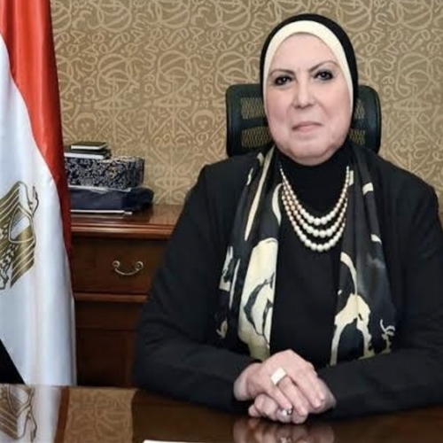 نفين جامع تصدر قرارا باشتراطات الإفراج عن السيارات الكهربائية
