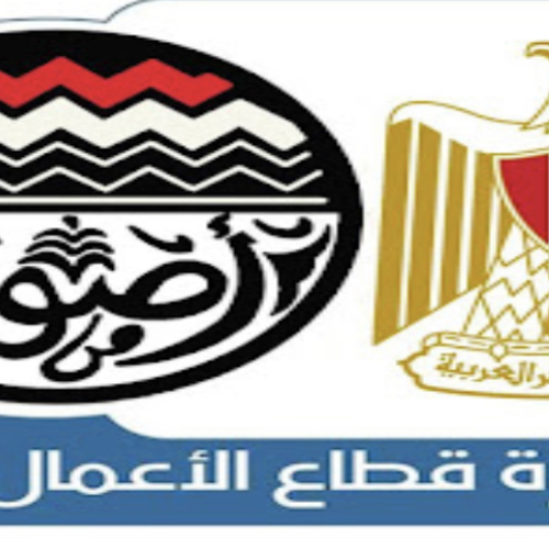 دمج شركتي النصر والهندسية للسيارات في كيان واحد للمركبات الكهربائية