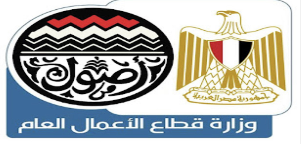 دمج شركتي النصر والهندسية للسيارات في كيان واحد للمركبات الكهربائية